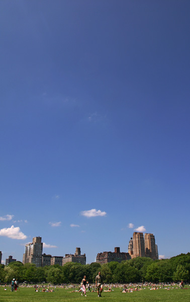 Tall Sky Above Central Park