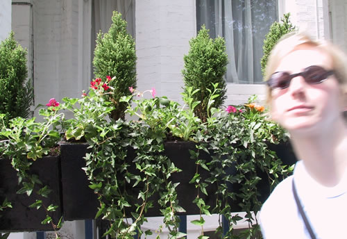 Kara and Little Trees