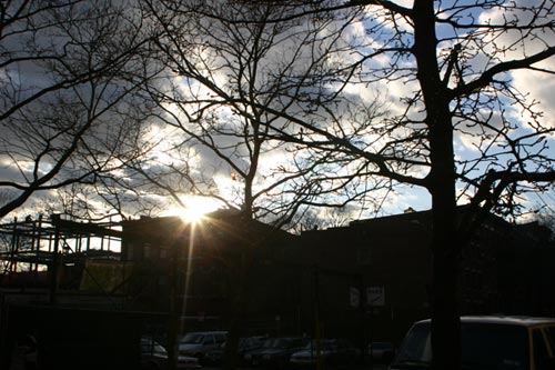 Sky Shines Through